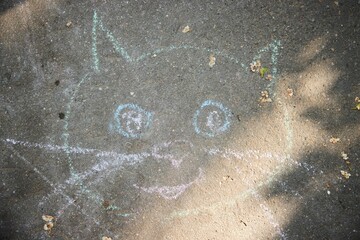 A child's drawing on the asphalt in chalk, the muzzle of a cat