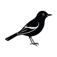 warbler vector on white background