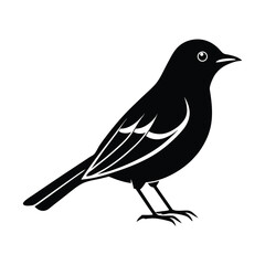 warbler vector on white background