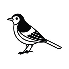 warbler vector on white background