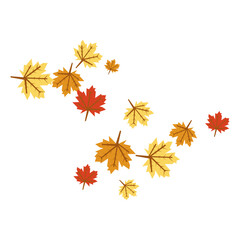 Autumn Leaves Falling