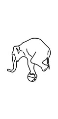 circus an elephant with ball illustration