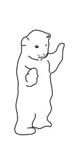 i got this polar bear illustration line art hand drawn meme