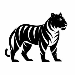 tiger silhouette on white background