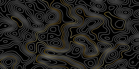 Complex topographic contour lines abstract geographic map. Intricate line patterns on background Minimal Contour Map Pattern Design


