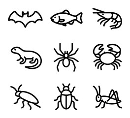 Naklejka premium Cave Animal Icons. Outline icon set of cave-dwelling animals: bat silhouette, cave fish, blind shrimp, cave spider, salamander,