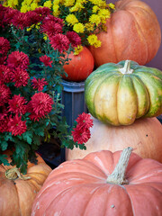 Autumn still life with pumpkins and flowers for Halloween