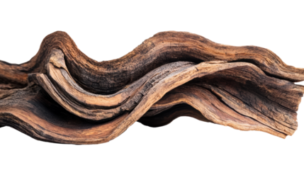 Artistic view of a unique driftwood piece with intricate textures, perfect for home decor or nature-inspired designs.