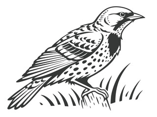 Obraz premium Elegant black and white bird illustration