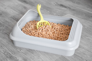 Cat toilet clean filled with wood granules. Wooden cat litter