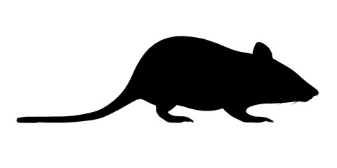 A black and white mouse is shown in silhouette. The mouse is small and has a long tail. Side view