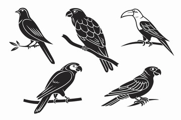 Fototapeta premium set of birds
