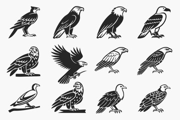 Obraz premium set of birds