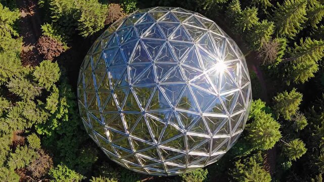 Geodesic glass sphere in forest surrounded by trees with sunlight reflecting off the surface

