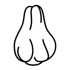 chayote icon