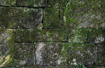 Mossy wall of an abandoned building in a forest