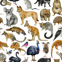 Fototapeta premium Australian birds and animals seamless pattern element. Hand drawn koala, kangaroo, dingo dog, quokka, platypus, kookaburra on white background. Australia fauna pattern on white background