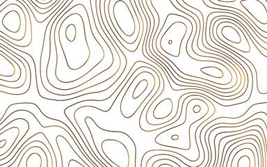 Abstract background vector and topographic patter line map background. silver line topography map contour background, geographic grid. Abstract gray topography contour map background design.  