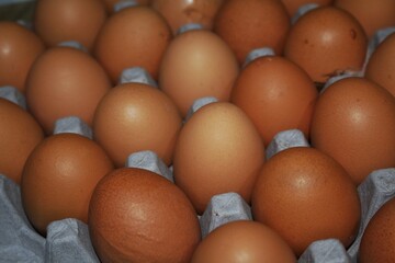 Fresh Brown Eggs in Carton A Perfect Breakfast Staple