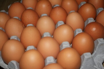 Fresh Brown Eggs in Carton A Dozen of Nature's Goodness