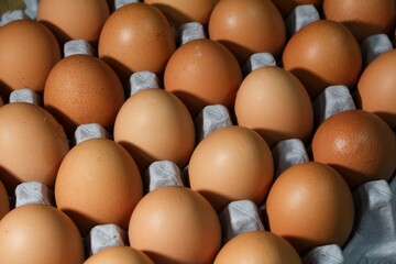 Overhead close-up of numerous fresh brown chicken eggs neatly arranged in a gray cardboard carton, a concept of agriculture, food, and nutrition