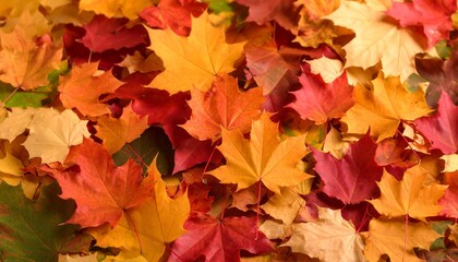Fototapeta premium autumn leaves background