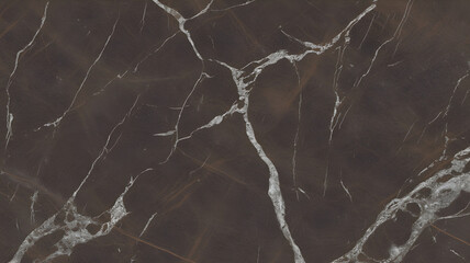 Full-frame 2D dark brown stone marble slab with complex white web-like veins.