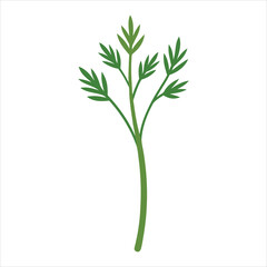Fototapeta premium bunch of rosemary