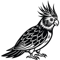 Obraz premium Black and yellow macaw vector illustration of a bird, eagle, and parrot with wings flying