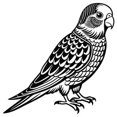 Fototapeta premium vector illustration of a bird