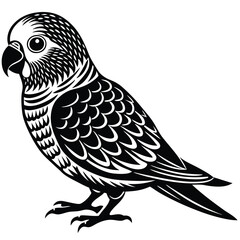 Obraz premium black and white parrot on white