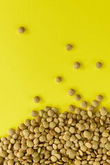 LENTEJAS (Lens Culinaris) SOBRE FONDO AMARILLO