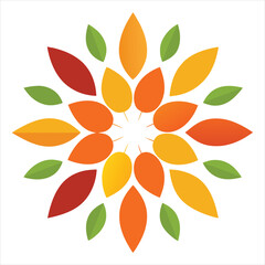 vector illustration of an orange flower