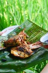 Processed tilapia fish steamed using banana leaves and cooked traditionally
