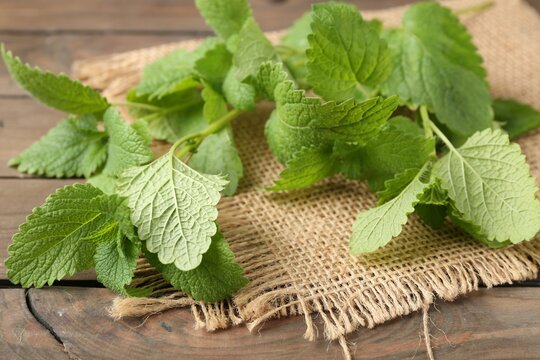 Fresh lemon balm leaves on wooden table, closeup