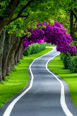 Obraz premium A winding road lined with trees and purple flowers