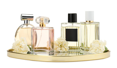 Many different perfume bottles and flowers isolated on white