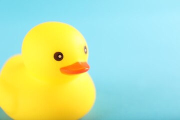 One cute rubber duck on light blue background, closeup. Space for text