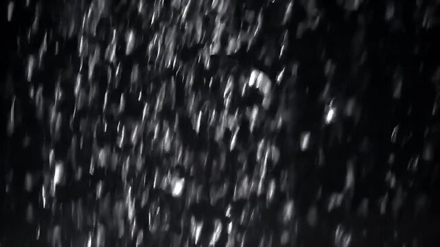 Soft snow start falling in the dark, black background.