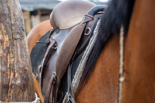 Close-up de uma sela de couro marrom em um cavalo, detalhe do equipamento equestre