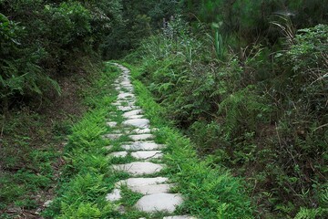 chiny okolice Pingan-Dazhai 2010 - wąska ścieżka ułożona z kamieni wśród zieleni, kamienna ścieżka pod górę porośnięta trawą, bez ludzi