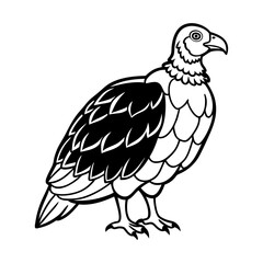 Fototapeta premium details turkey vulture vector silhouette