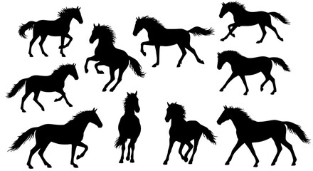 Set of horse silhouettes isolated on transparent background