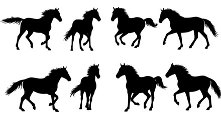 Set of horse silhouettes isolated on transparent background