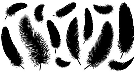 Collection of black feather silhouettes isolated on transparent background © PixelSaga MH2 