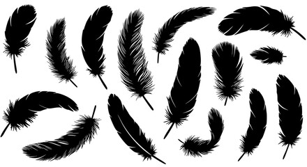 Collection of black feather silhouettes isolated on transparent background © PixelSaga MH2 
