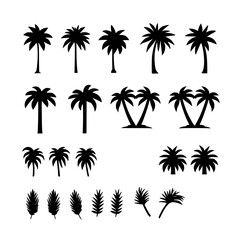 Naklejka premium Collection of tropical palm tree silhouettes isolated on transparent background