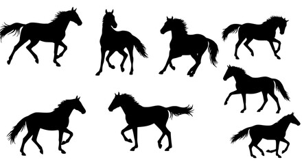 Obraz premium Set of horse silhouettes isolated on transparent background