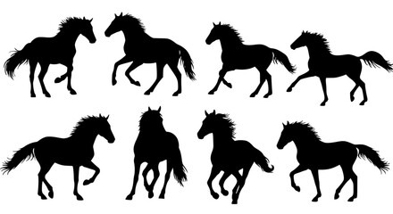 Set of horse silhouettes isolated on transparent background