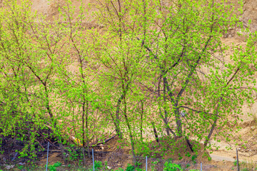 Fragment of a construction site on a spring day
